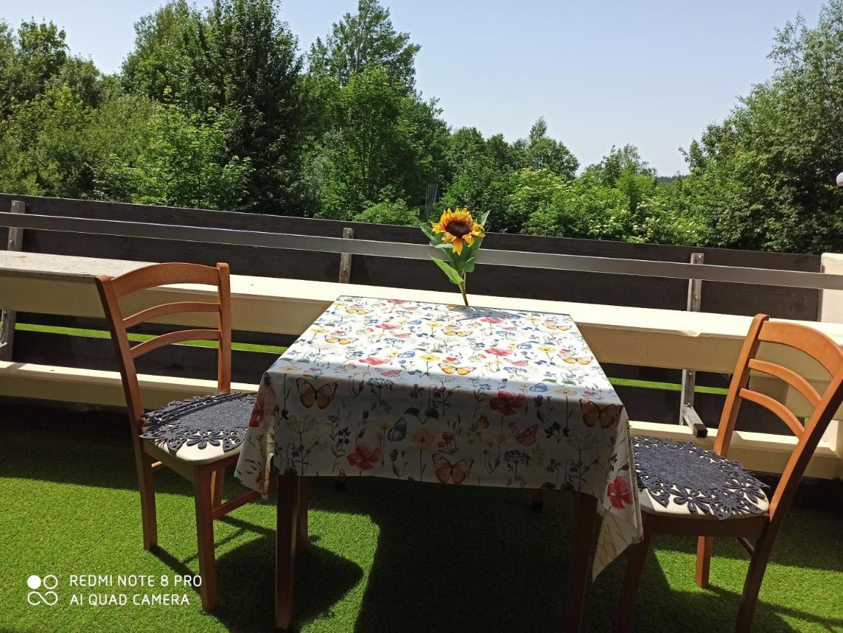 Berghof Studio Haus Rachel Mit Pool Sankt Englmar Εξωτερικό φωτογραφία