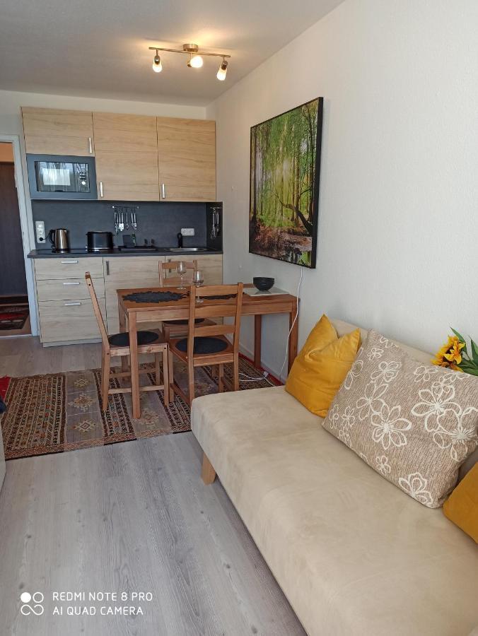 Berghof Studio Haus Rachel Mit Pool Sankt Englmar Εξωτερικό φωτογραφία